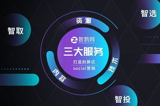 智鵲網(wǎng) 定制專屬微表單，助力企業(yè)完成精準(zhǔn)營(yíng)銷