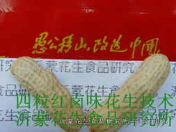 四粒紅鹵味花生技術轉讓全攻略 掌握核心工藝，開啟創業之路